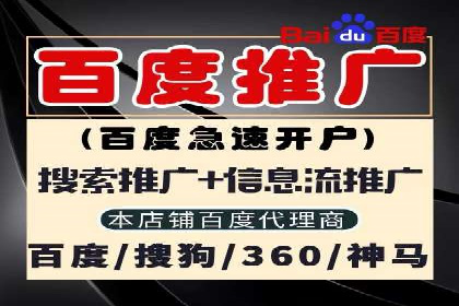 行业领先！专业SEM托管的成功实践案例